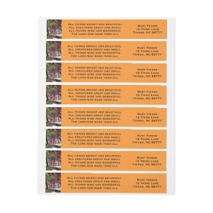 Alle heldere en mooie wrakken-etiketten