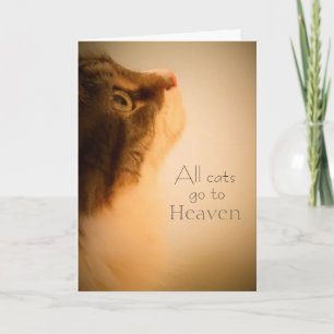 Alle katten gaan naar de Hemel Sympathy Card Kaart