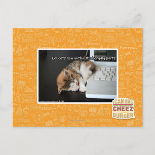 Alle katten met USB Briefkaart