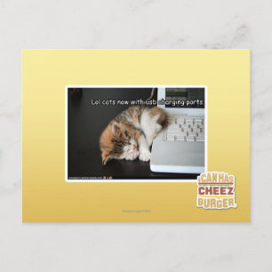 Alle katten met USB Briefkaart