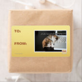 Alle katten met USB Etiket (Insitu)