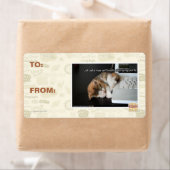 Alle katten met USB Etiket (Insitu)