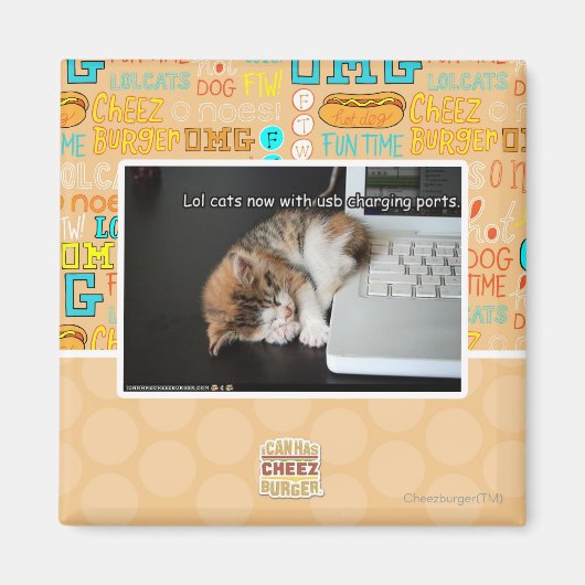 Alle katten met USB Magneet (Voorkant)