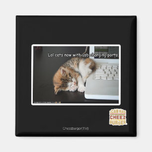 Alle katten met USB Magneet