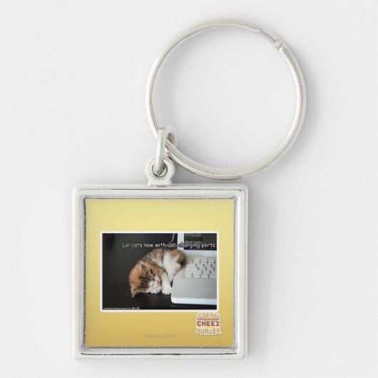 Alle katten met USB Sleutelhanger (Voorkant)