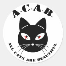 Alle katten zijn prachtig