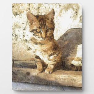 Alle katten zijn zwart in de donkere potloodzak fotoplaat