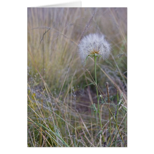 Alle kleine dingen (Voorkant)