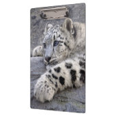 Alle klembord voor afgespeeld (Links)