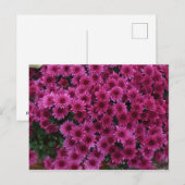 Alle kleuren van het eiken Park Il vallen. Briefkaart (Voorkant / Achterkant)