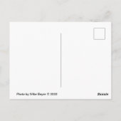 Alle kleuren van het eiken Park Il vallen. Briefkaart (Achterkant)