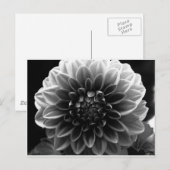 Alle lagen openen briefkaart (Voorkant / Achterkant)