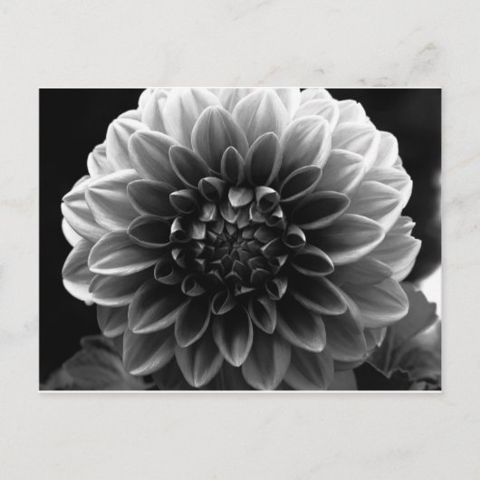 Alle lagen openen briefkaart (Voorkant)