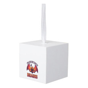 Alle leraren houden van hersenen Halloween Vleermu Kubus Ornament