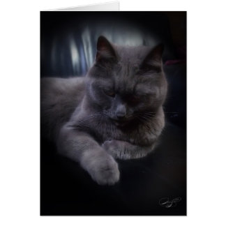 Alle Ocassions (blanco)-kaart