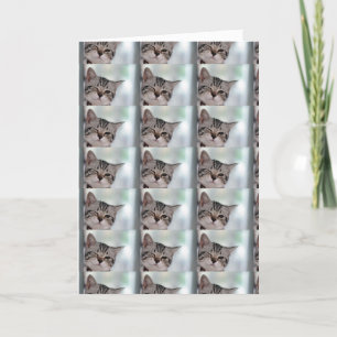 ALLE OGEN STAAN OP JE BIRTHDAY ZEGT KAT KAART