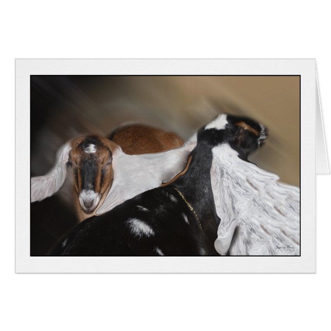 Alle oren (Voorkant Horizontaal)