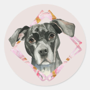 Alle oren   Cute Black Pit Bull Dog Illustratie Ronde Sticker