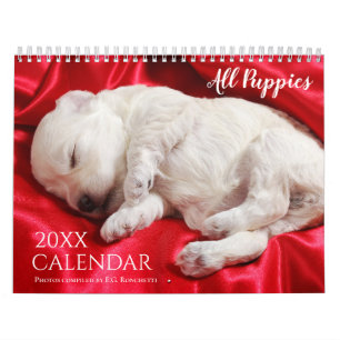 Alle Puppies 2025 Puppy Hondenwandkalender Kalender
