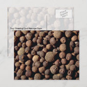 Alle specerijen briefkaart (Voorkant / Achterkant)