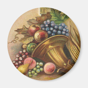 Alle Thanksgiving geld is van nul Magneet