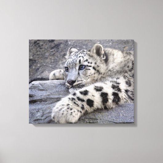 Alle uitgespeeld verpakt canvas print (Voorkant)