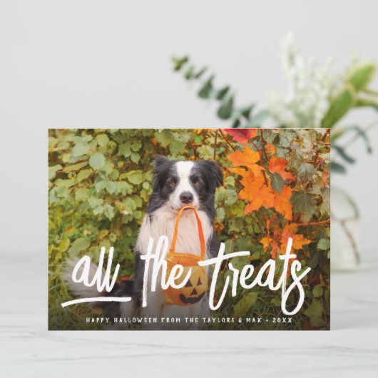 Alle Verdragen | Foto Halloween Pet Kaart (Staand voorkant)