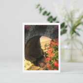 ALLÉE D'ALLIANCE DE LA CARTE POST (Debout devant)