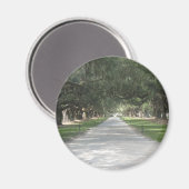 Allée de chêne à Boone Hall, Charleston SC Magnet (Recto/Verso)
