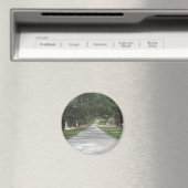 Allée de chêne à Boone Hall, Charleston SC Magnet (In Situ (Lave-vaisselle))