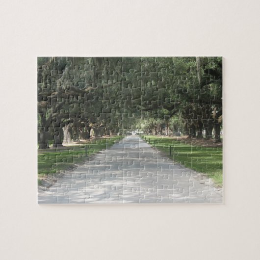 Allée de chêne chez Boone Hall, puzzle de Sc de (Horizontal)