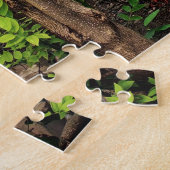 Allée de jardin au bord de la maison Puzzle (Côté)