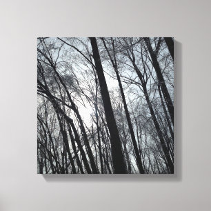 Alleen bomen canvas afdruk