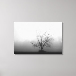 Alleen - boom in de ochtend mist Verpakt Canvas