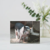 Alleen de juiste steegje briefkaart (Staand voorkant)