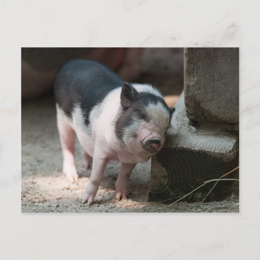 Alleen de juiste steegje briefkaart (Voorkant)