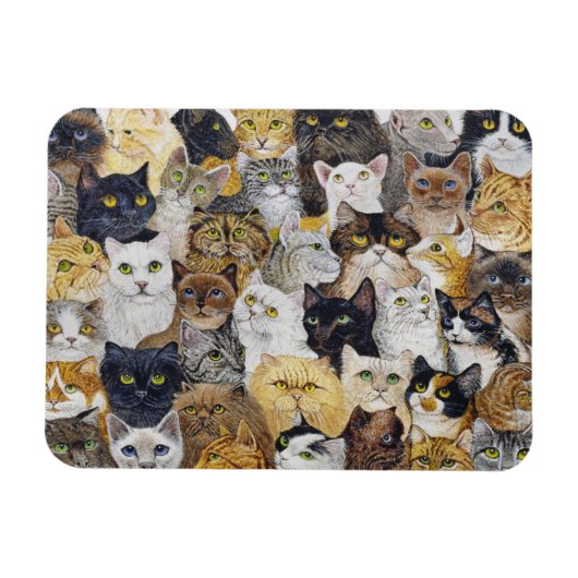 Alleen de kattenbakker magneet (Horizontaal)