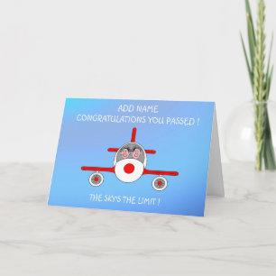 Alleen een gekwalificeerde pilotenvergunning kaart