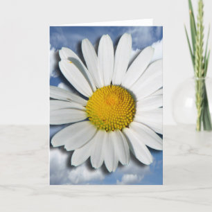 Alleen een Marguerite Blossom + jouw tekst en idee Kaart