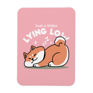 Alleen een Shiba Lying Low: Schattige Shiba Inu-on Magneet