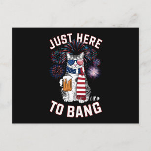 Alleen hier om USA-vlag bier kattenliefhebber 4 ju Briefkaart
