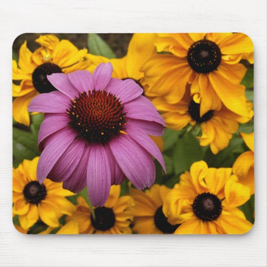 Alleen in de Kroatische Muismat (Voorkant)