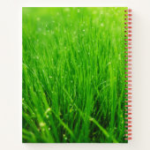 Alleen jij kunt je toekomst veranderen notitieboek (Achterkant)