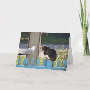 Alleen katten en katjes - lege kaart