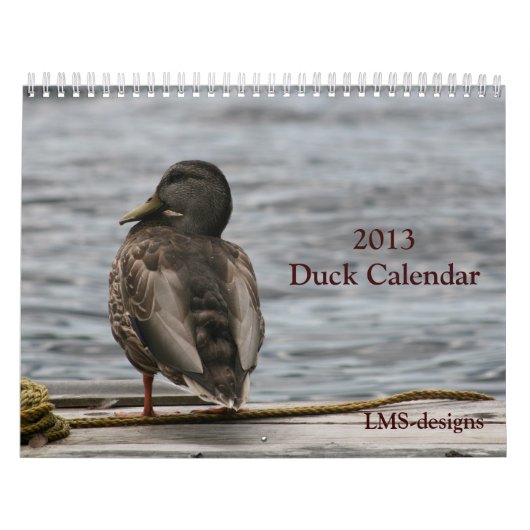 Alleen maar een ducky kalender (Hoes)