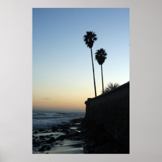 alleen maar een paar palmbomen poster