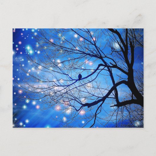 Alleen met sterren briefkaart (Voorkant)