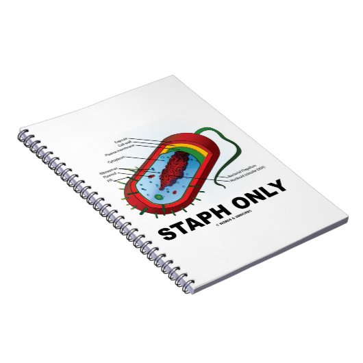 Alleen Staph (Bacterium Diagram Prokaryote Bacteri Notitieboek (Rechterzijde)