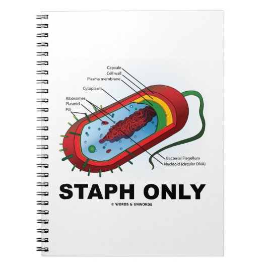 Alleen Staph (Bacterium Diagram Prokaryote Bacteri Notitieboek (Voorkant)