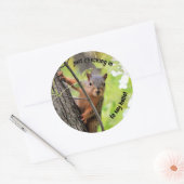 Alleen Stickers inchecken (Envelop)